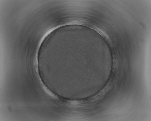 X0000114120792200910191722