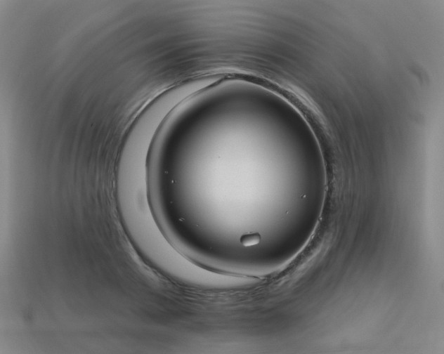 X0000114120793200910191722