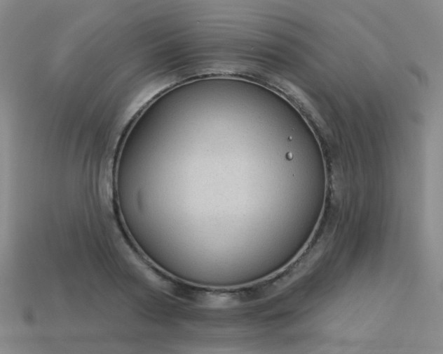 X0000114120794200910191722