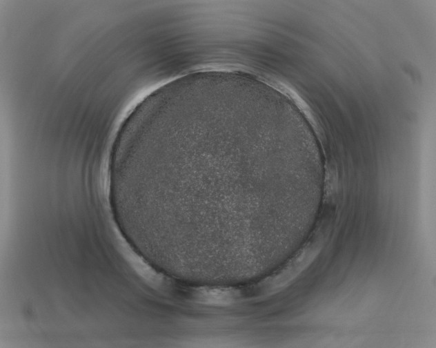 X0000114120795200910191722