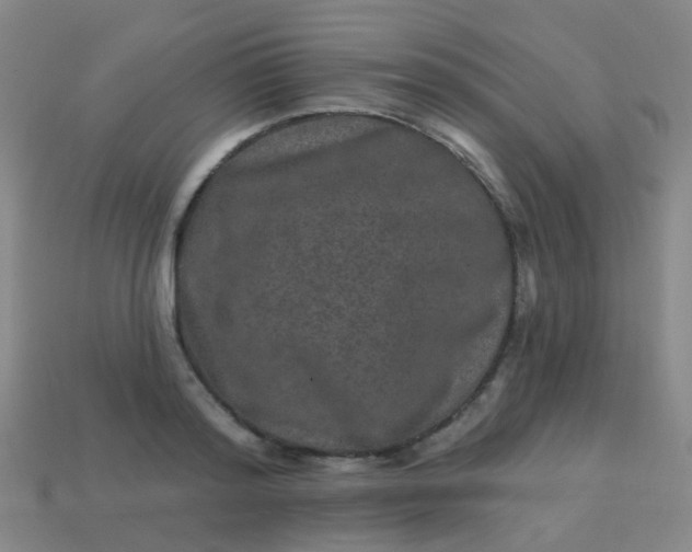 X0000114120796200910191722