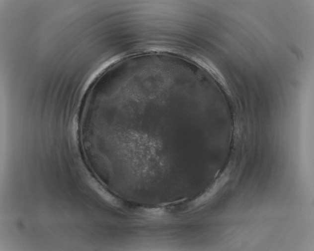 X0000114120798200910191722