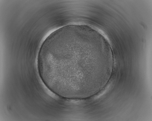 X0000114120803200910191722