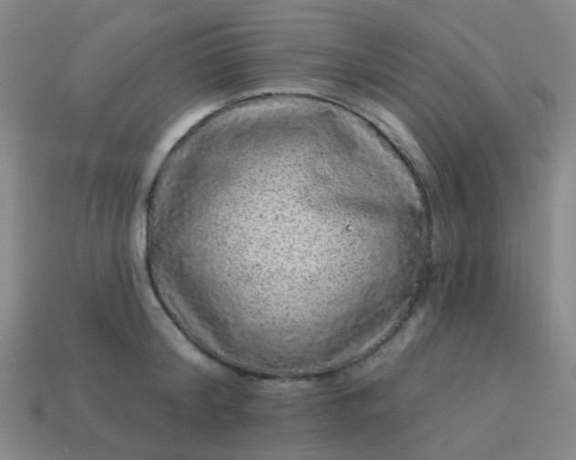 X0000114120804200910191722