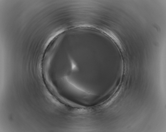 X0000114120806200910191722