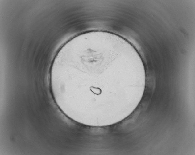 X0000114120807200910191722