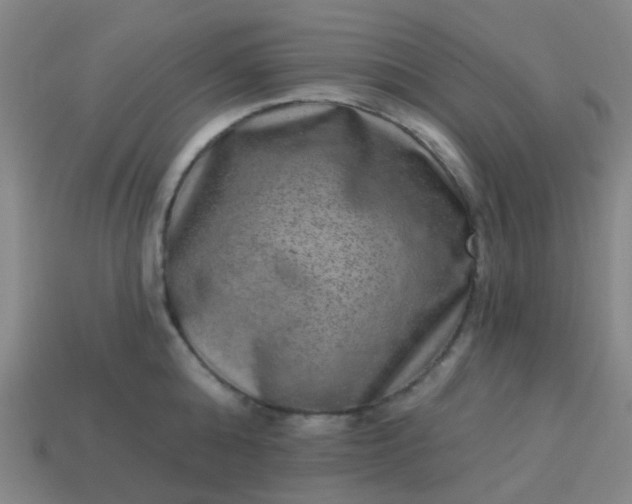 X0000114120808200910191722