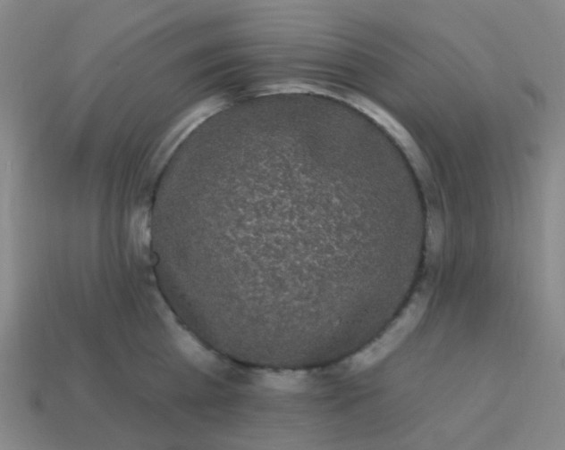 X0000114120809200910191722