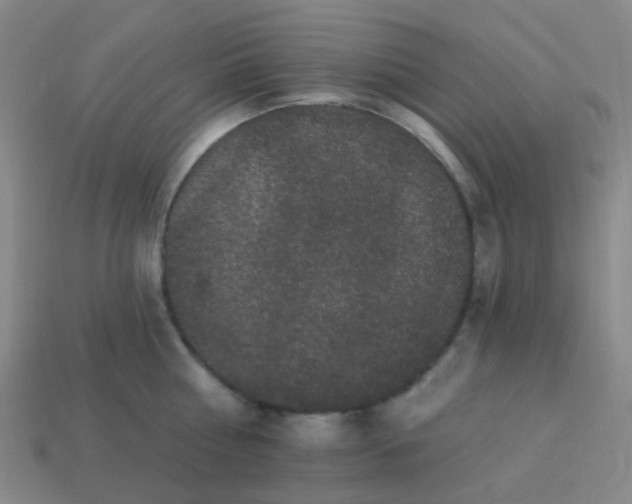 X0000114120810200910191722