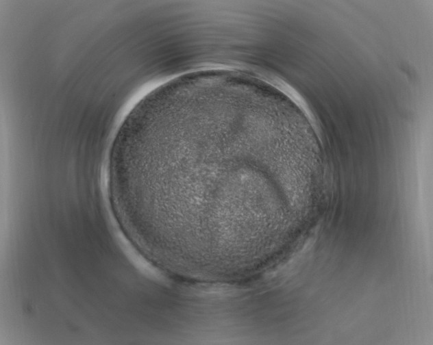 X0000114120811200910191722