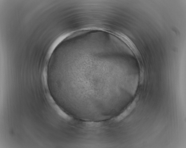 X0000114120812200910191722