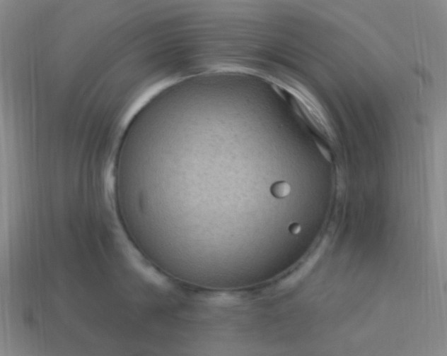 X0000114120814200910191722