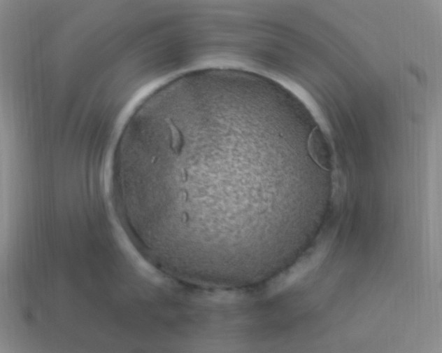 X0000114120815200910191722