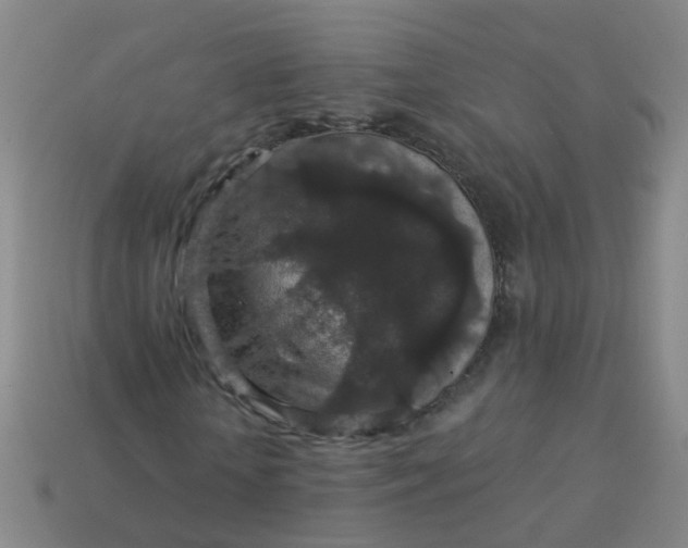 X0000114120818200910191721