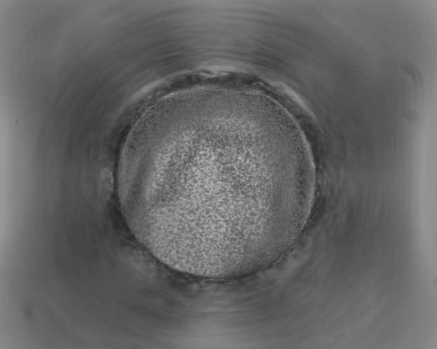 X0000114120821200910191721