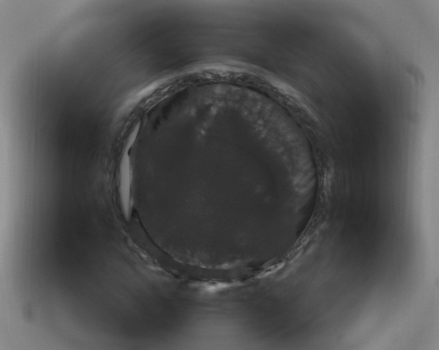 X0000114120822200910191721