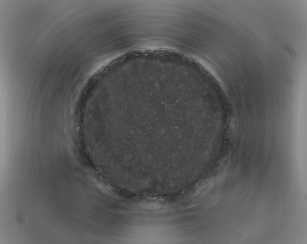 X0000114120823200910191721