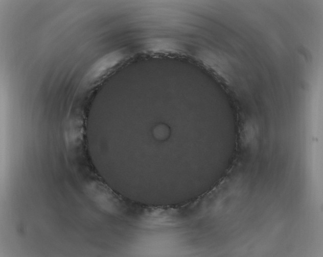 X0000114120824200910191721