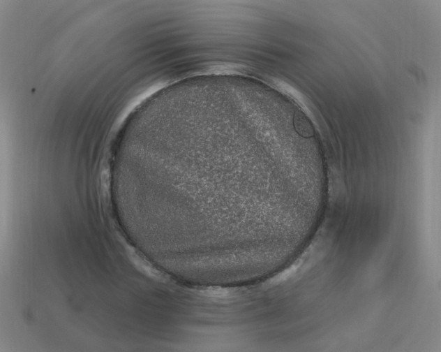 X0000114120827200910191721