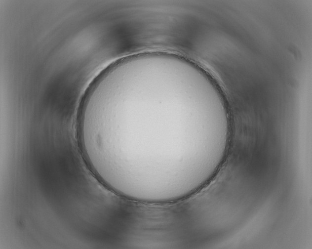 X0000114120828200910191721