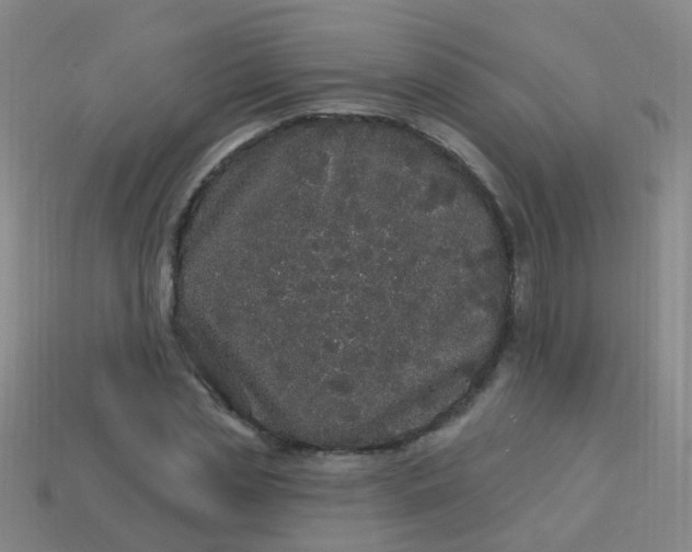 X0000114120829200910191721