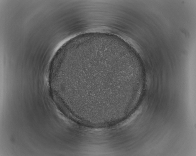 X0000114120830200910191721