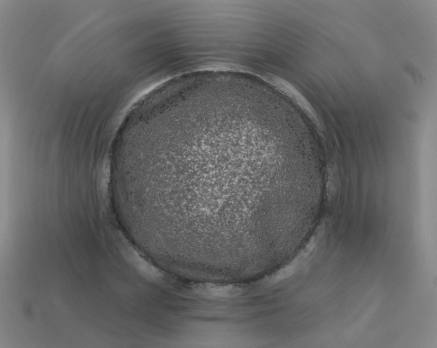 X0000114120831200910191721