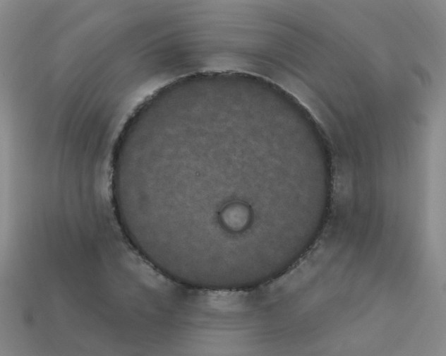 X0000114120832200910191721