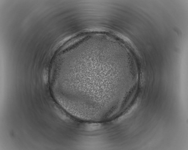 X0000114120833200910191721