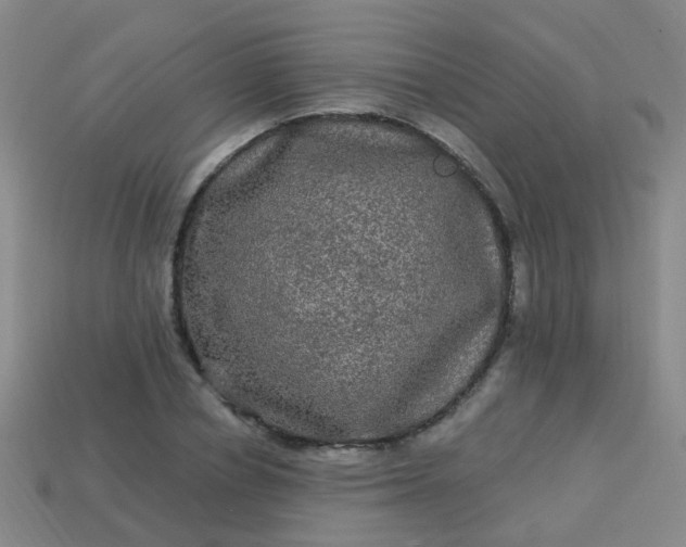 X0000114120834200910191721