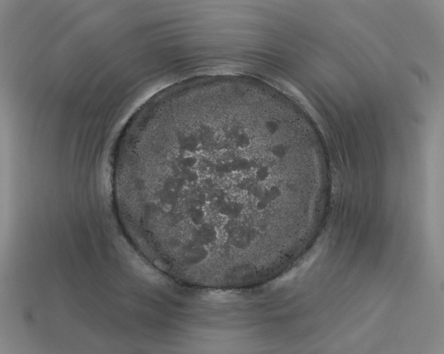 X0000114120835200910191721