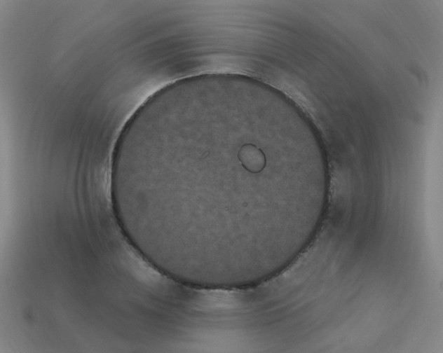 X0000114120836200910191721