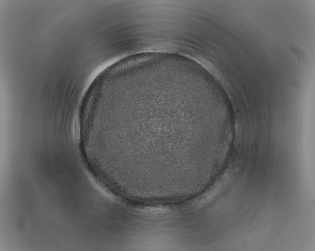 X0000114120838200910191721