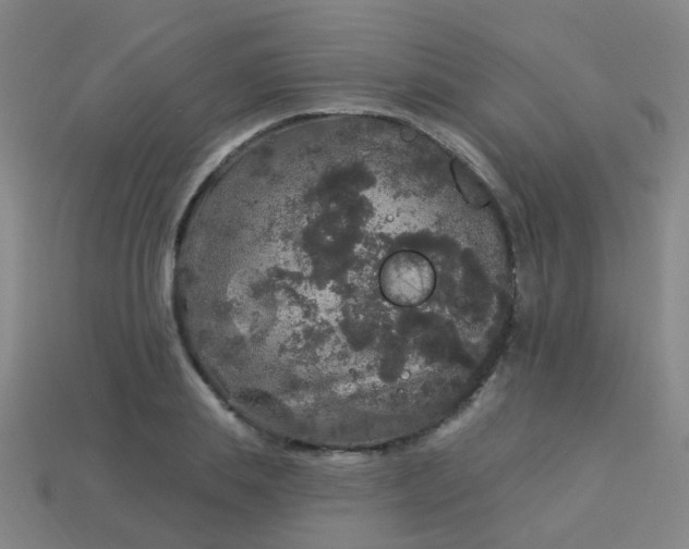 X0000114120839200910191721