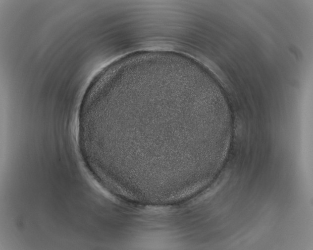 X0000114120840200910191721