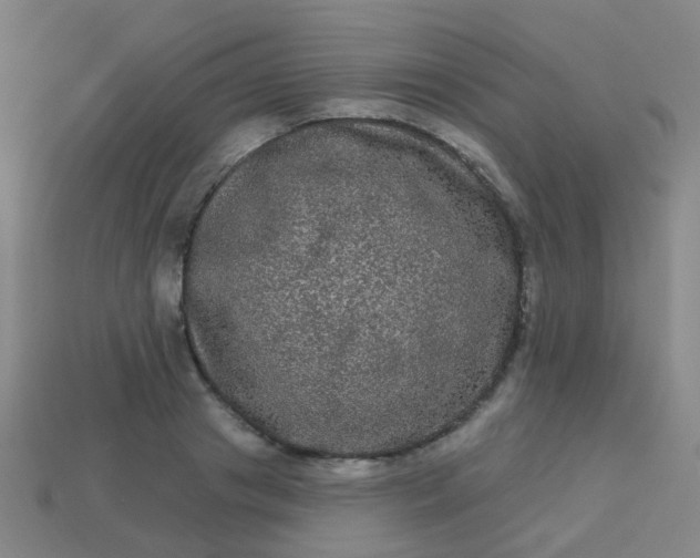 X0000114120841200910191721