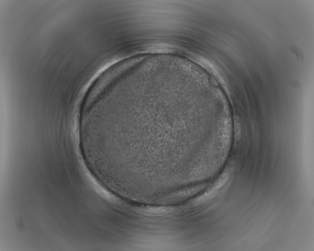 X0000114120843200910191721