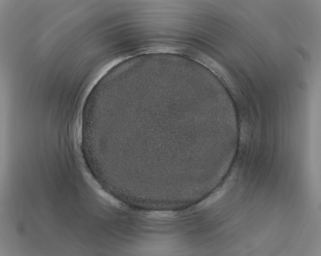 X0000114120844200910191721