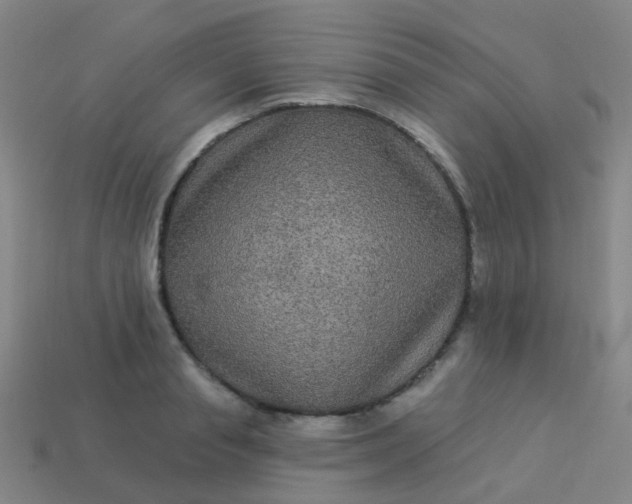 X0000114120845200910191721