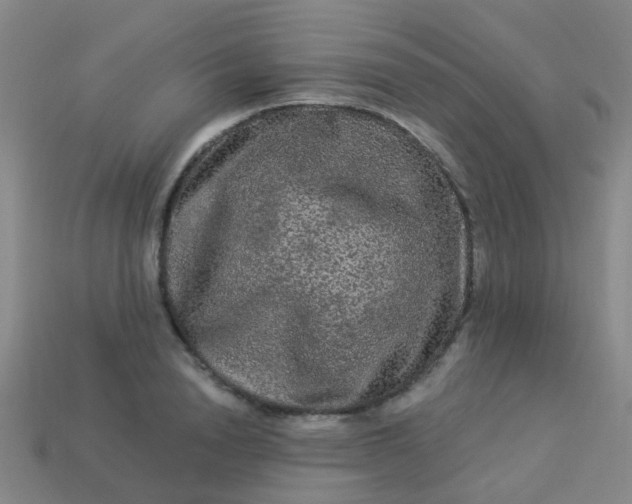 X0000114120846200910191721