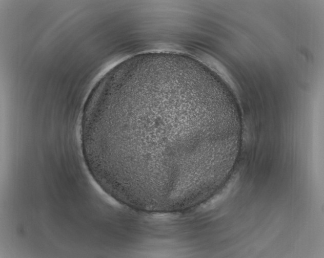 X0000114120847200910191722