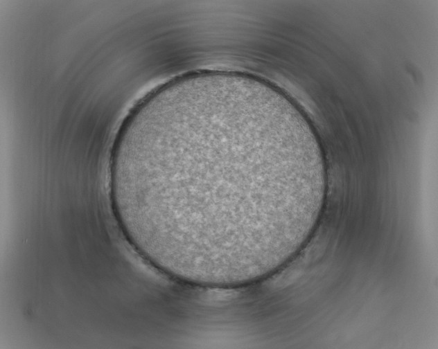 X0000114120848200910191722