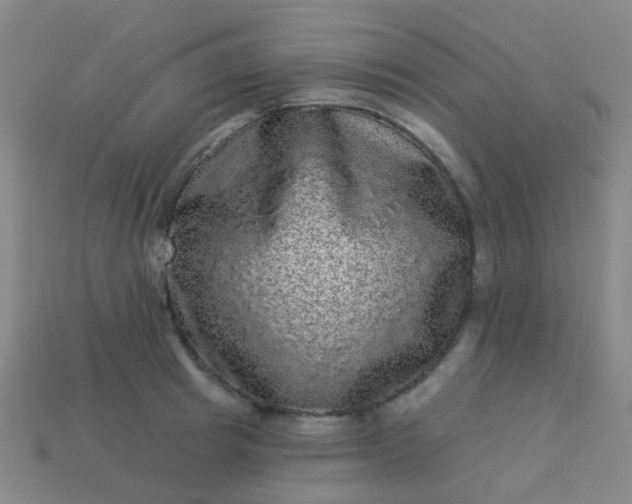 X0000114120849200910191722