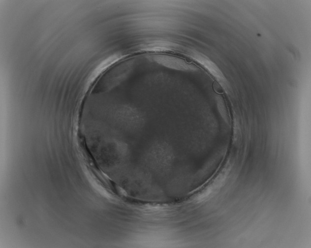 X0000114120850200910191722