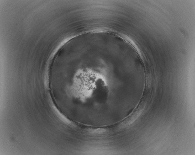 X0000114120851200910191722