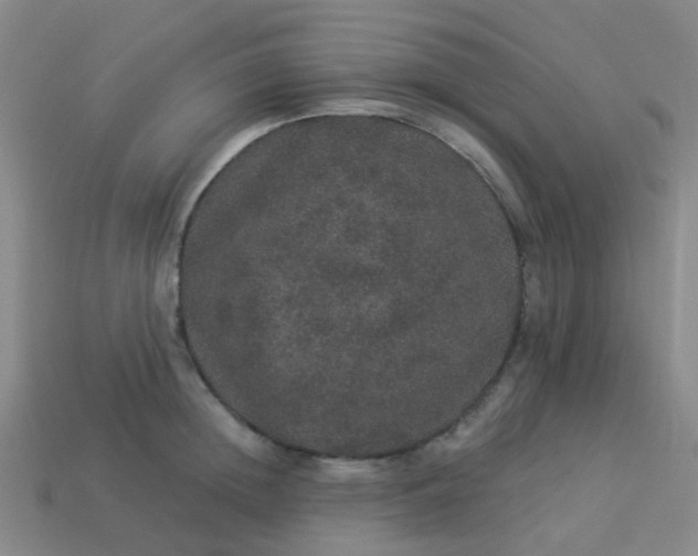 X0000114120852200910191722