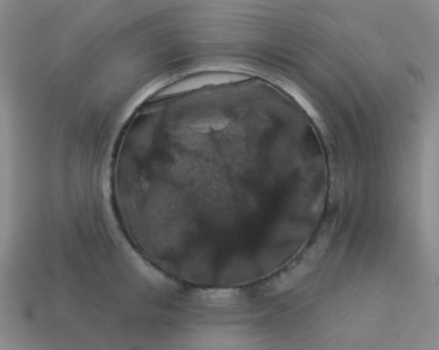 X0000114120853200910191722