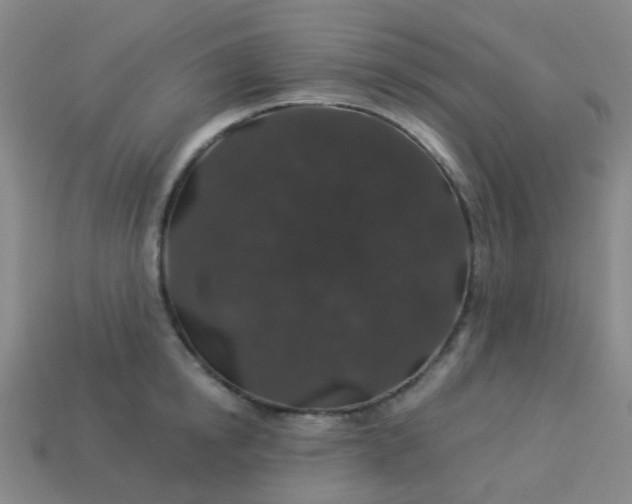 X0000114120854200910191722