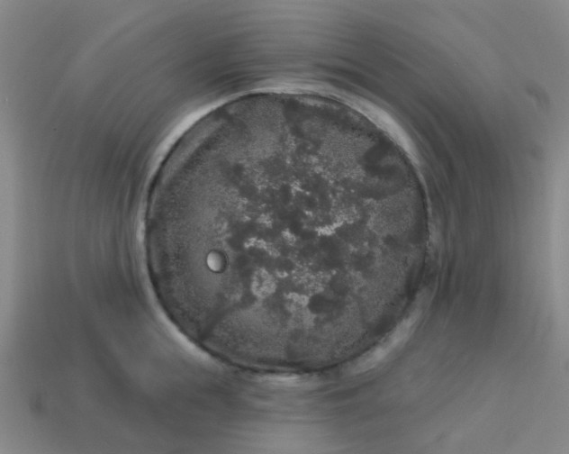 X0000114120855200910191722