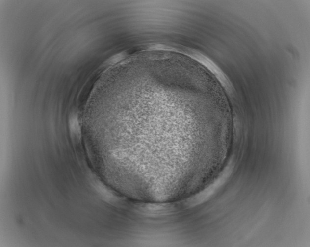 X0000114120857200910191722